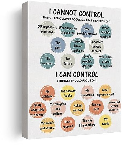 Mental Health Therapy Office Canvas Wall Art Decor Things I Can Control Poster Painting Print Framed Sign Picture Artwork for Calm Down Corner Decor 30,5 x 38,1 cm