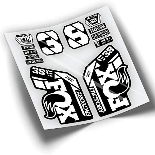 Adesivi Forcella Fox 38 Factory EBIKE 2021 Colori WP437 Bianco 010