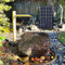 Fontaine à Eau Solaire en Bambou, kit de Jardin Japonais avec Pompe, Panneau Solaire 6 W, Filtre à Eau, Tube d'eau de 2 m pour terrasse, intérieur/extérieur