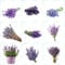 550 pcs lavendel pflanze winterhart samen, wildkräuter samen flowers lavendelsamen - Lavandula angustifolia balkon hochbeet schmetterlingswiese kräuterbeet gartenblumen mehrjährig