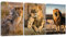 Sungeek 3 Teilig Leinwandbilder mit Holzrahme, Leinwanddruck Bilder 30 x 40 cm, Moderne Wandbilder Kunstdruck Wand Dekoration für Wohnzimmer Schlafzimmer Home Esszimmer Büro (Löwe)