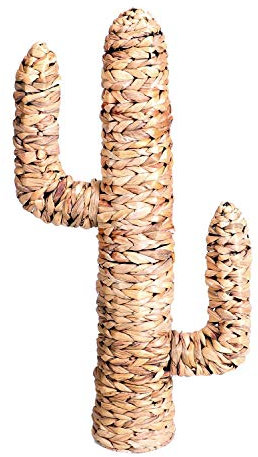 Natural Living Cactus en Jacinthe d'eau 80X45XD15CM