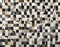 Echtleder Teppich 160x230 cm 100% Kuhfell Leder Ivory Compatible with Braun Beige Patchwork L11