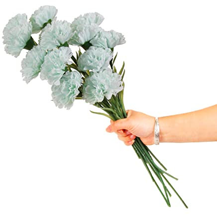 cn-Knight 12 künstliche Nelkenblumen, 40,6 cm langer Stiel, Nelke, rosa Kunstblumen, Premium-Seidenblumen für Heimdekoration, Tafelaufsatz, DIY, Hochzeitsstrauß, hellblaugrün