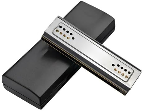 24-Loch-Doppelseiten-Mundharmonika-Schlüsselsatz C&G-Ton 2-in-1-Tremolo-Bass-Mundharmonika-Blasmusikinstrument Für Profis Studenten Mundharmonika