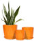 Sin wings Lot de 3 pots de fleurs octogonaux en céramique de 17 cm + 13 cm + 10 cm - Pots de fleurs pour intérieur avec drainage et soucoupe - Orange vif