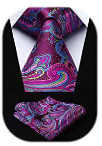 HISDERN Herren Krawatte Hochzeit Violett Paisley Krawatten Taschentuch Blumen Elegant Klassisch Krawatte & Einstecktuch Set