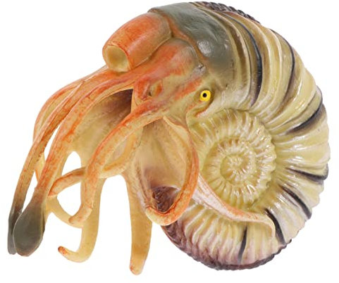 HOMSFOU Spielzeug Für Kinder Spielsets Für Kinder Nautilus Conch Art Figuren Skulptur: Muschel Statue Wohnkultur Meer Ornament Regal Sammeln Kinderspielzeug Spielzeuge