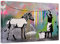 Banksy Bilder auf Leinwand - Zebra Washing Color - Wandbild für zuhause, hochwertige Streetart graffiti Kunstdruck I Wanddekoration, XXl Leinwandbilder I fertig zum Aufhängen (50x70 cm)