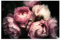Bilderwelten Fototapete Blumen 290cm x 432cm Natur Rosen Pfingstrosen Blumentapete Vliestapete Tapete Wanddeko Ideen Wohnzimmer Schlafzimmer Küche
