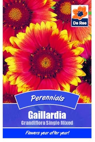 Flower Seeds Gaillardia Grandiflora Single Mixed - 50 Seeds Packet Plant Bedding Borders Containers Pots Grow Your Own Garden Plant Seed