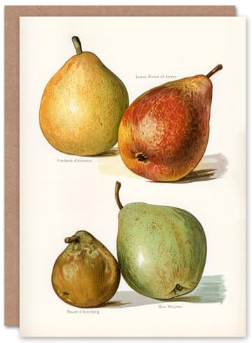 Artery8 John Wright Art Card Four Pear Varieties Vintage Illustration