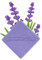 Lavanda del Lago
