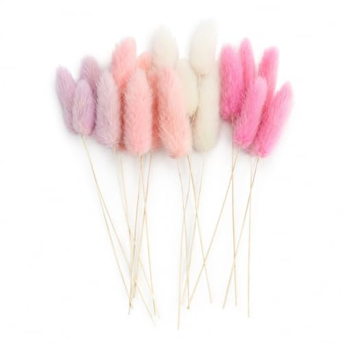 Bunny Tails Cupcake-Dekoration, 20 Stück, Pink