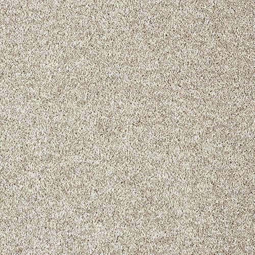 Beiger Teppich für Wohnzimmer Kräuselvelours Teppichboden Meterware in 5m und 4m Breite Auslegware besonders weich (5 m x 4 m)