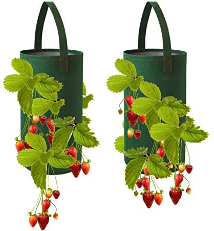 Pri Gardens Maceta Colgante de Fresas para Plantas de raíz Desnuda (raíces no Incluidas), Material de Fieltro, Paquete de 2