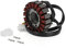 Artudatech Lichtmaschine Stator für Hon-da CBR 250 RR 1990-1996 CB 250 F Hornet, Jade MC31 1991-2007