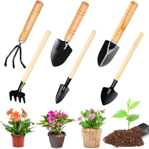 Byffoer Lot de 6 petites pelles de jardin - Mini outils de jardin - Pelle pour outils de jardin, bonsaï, plantes en pot, sol en vrac