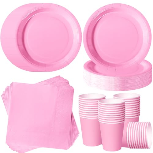 120 Pezzi Rosa Chiaro stoviglie per feste di compleanno per 40 Ospiti