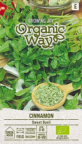 Organic Way | Semillas de ALBAHACA CANELA | Semillas de plantas | Semillas de albahaca | Planta anual | Planta aromática, especiada y apta para las abejas | Semillas de albahaca | 1 paquete