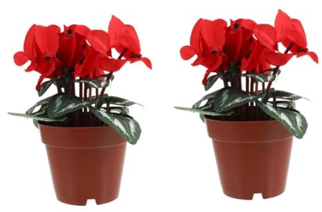 RORPOIR 2 Stücke Realistische Künstliche Bonsai Baum Topfpflanze Ornamente Für Home Office Dekorationen