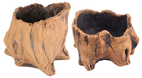 Homoyoyo 2stücke Kreative Zement Blumentöpfe Im Baumstumpf-Design Vintage Pflanzgefäße Für Sukkulenten Und Blumen Für Innen Und Außendekoration Gartenaccessoires