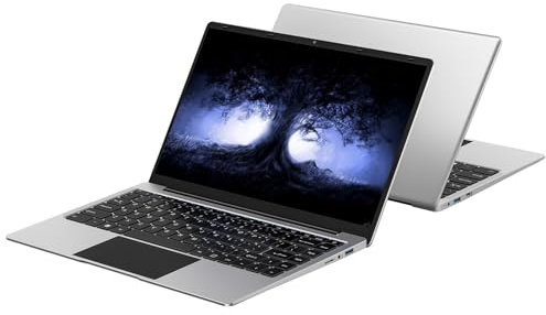 Ordinateur PC portable 14 pouces 256Go Win11 Celeron N4020 Support 1 To SSD Expansion 2.4G+5G WiFi Bluetooth 4.2 USB HDMI 1920 x 1080 FHD avec souris sans fil & Membrane de clavier AZERTY - Argent-w