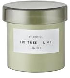 blomus Duftkerze -VALOA- | Farbe Agave Green | Duft Fig Tree-Lime No. 05 | Windlicht aus Glas | Größe S, Ø 7,5 x 7,5H cm | Kerze aus Sojawachs | Nachfüllbar