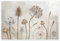 Herbst Poster von Mandy Disher 100 x 70 cm Beige Wandbilder Wanddeko