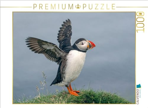 Puzzle · Puffin | Ein Papageientaucher bereitet sich auf seinen Flug vor · 1000 Teile · Lege-Größe 64 × 48 cm · CALVENDO Puzzle