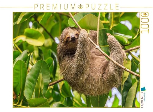 CALVENDO Puzzle Dreifinger-Faultier | 1000 Teile Lege-Größe 64 x 48 cm Foto-Puzzle für glückliche Stunden
