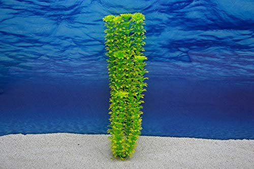 Amtra Cabomba XL 36cm künstliche Pflanze Dekoration Aquarium