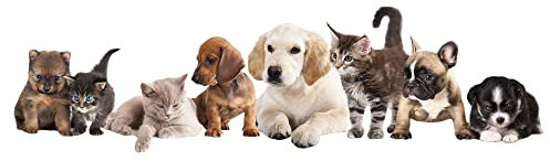 GRAZDesign Wandtattoo Welpen Kätzchen | Kinderzimmer, Wohnzimmer Wanddekoration Wandsticker Tiere Haustiere, Wandaufkleber Wanddeko Katzen Hunde Babys, 108x30cm