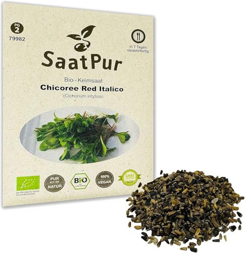 SaatPur semillas de achicoria germinadas ecológicas - Red Italico - para cultivar tus propias semillas germinadas en casa - 15 g
