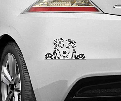 myrockshirt Peeking Dog Spähender Hund Australian Shepherd Typ7 ca.20cm Aufkleber,Sticker,Decal,Autoaufkleber,UV&Waschanlagenfest,Profi-Qualität,Wandtattoo