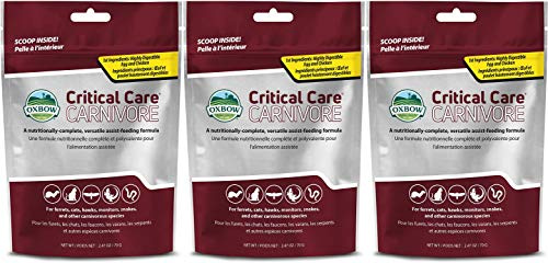 Oxbow Critical Care Carnivore, Made with Whole Egg & Dried Chicken, Assist Feeding Formula for Carnivores, Cat Supplements, Ferret Food Recovery, Small Animal Pet Products, Made in USA,70g Bag, 3 Pack