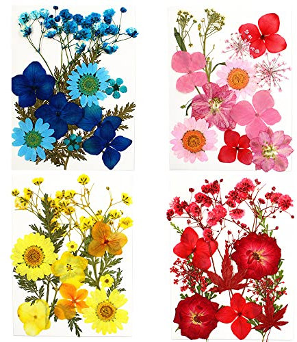 Cayway 48 Pièces Fleurs Séchées Naturelles Pressées, Feuilles Florales pour Bricolage, Résine, Bijoux, Art Floral et Nail Art