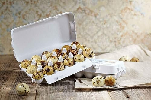 Delikatess Wachteleier Speiseeier 18 Stück