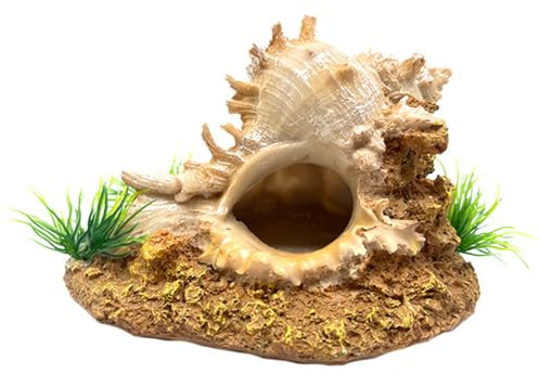 Hapihom Fish Tank Decorations Aquarium Decoration Aquarium Conch Shell Ornament With Rockery,Small Fish Tank Decor Plants Cave,Landscape Ornament For Hermit Crab Hideout Round conch
