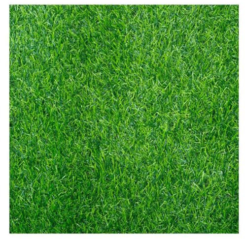 Kunstrasen-Läufer, Teppich, Kunstrasen, Balkon, Outdoor, Rasenteppich, 20 mm, hochdichter Gartengras-Teppich, 2,5 x 5 m, langlebig und leicht zu reinigen, perfekt für den Innen- und Außenbereich