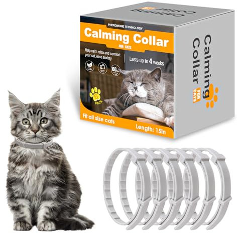 Beruhigendes Halsband für Katzen, Pheromon-Katzenhalsband, zur Linderung von Angst und Stress, verstellbar, wasserabweisend, beruhigende Halsbänder, 6 Stück (grau)