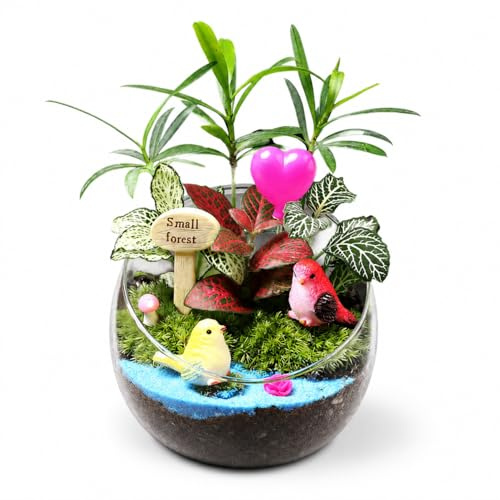 LeeQinersw Miniature Terrarium Intégrant Plante Vivante Mousse Décorative en Verre Raffiné Kit Manuel Éco-conçu Résine Adapté pour la Chambre d'enfant Maison Espace Éducatif 10cm