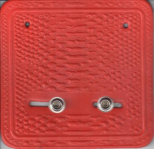 Wrestler-Gürtel, Wandhalterung, echtes Leder, WWE TNA ECW, passende Farbe (rot)
