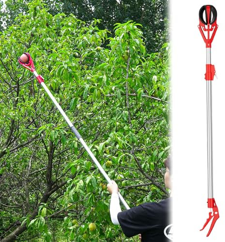 3 6 8 10 FT Fruit Grabber & Apple Picker, Telescopic Fruit Picking Basket with Handle for Avocado Acorn Lemon Pear Mango Oranges Figs Tree Picker(1-1.5 m/39.4-59 in)