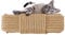 Aoneky 6mm/ 8mm/10mm Cat Scratching Sisal Rope Posts Trees Replacement 33FT-328FT, Hemp Rope for Decoration, DIY or Repairing (131FT, 6mm)