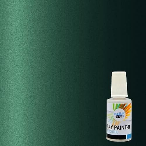 CARSKY Stylo retouche peinture carrosserie compatible avec Renault VERT ANGLAIS MET 963(flacon pinceau 20ml) + vernis brillant (flacon pinceau 20ml)