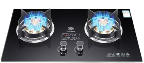 Réchaud Au Propane, Réchaud Au Propane Portable À 2 Brûleurs, Table De Cuisson À Gaz En Verre Trempé, Maximum 15 354 BTU For Les Camions De Nourriture Et Les Restaurants Familiaux(noir) (Color : LPG