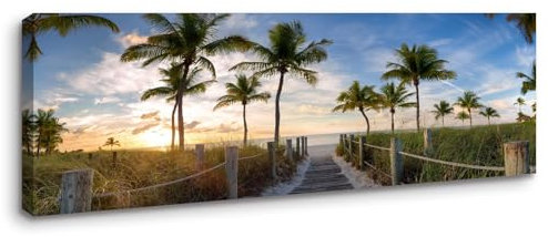 Visario Leinwand Bild fert gerahmt 120x40 cm Palmen Weg zum Strand 5765