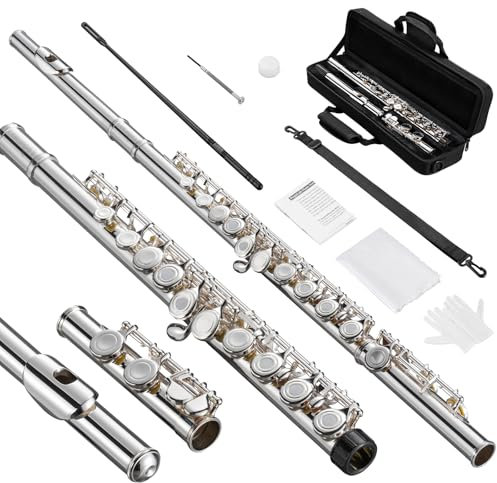 POGOLAB Flöte, Offene Loch, C Flute mit geteiltem E&Offset-G, C Fußstück, versilberte Flöte mit Flötentasche/Flötenreinigungsset/Sondenstab/Handschuhe/Fett, für fortgeschrittene Spieler