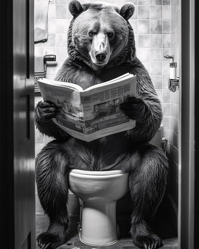 Deqosy Bär auf WC, Poster 40cm x 50cm ohne Rahmen, Toilette Badezimmer Deko, Wand-Deko Bilder Lustiges Geschenk